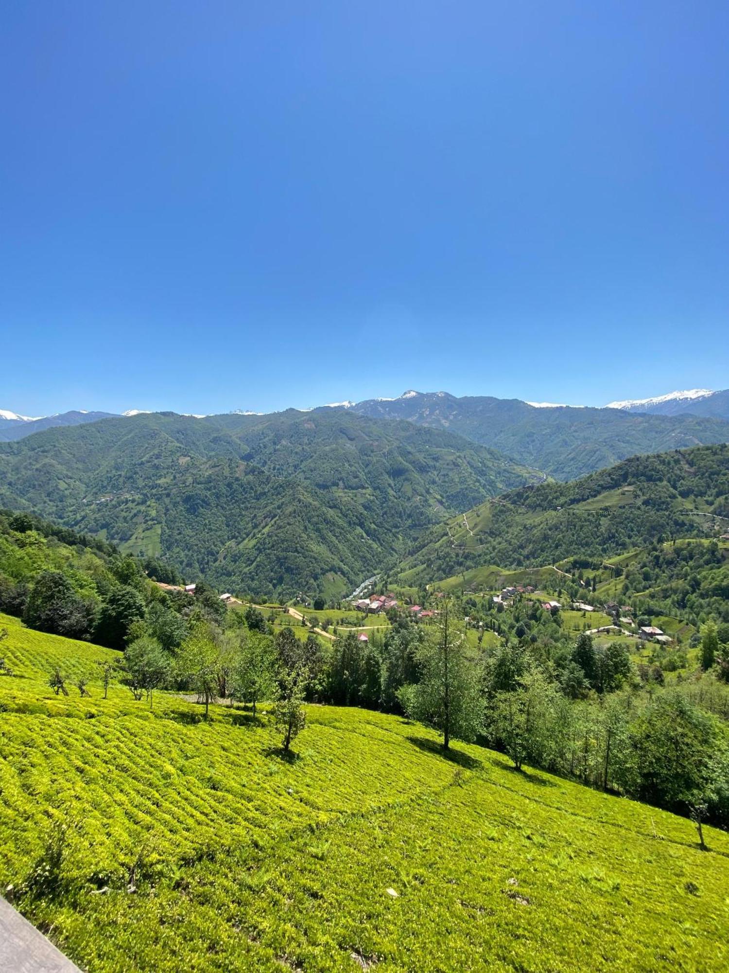Pera Bungalov Ardeşen Esterno foto