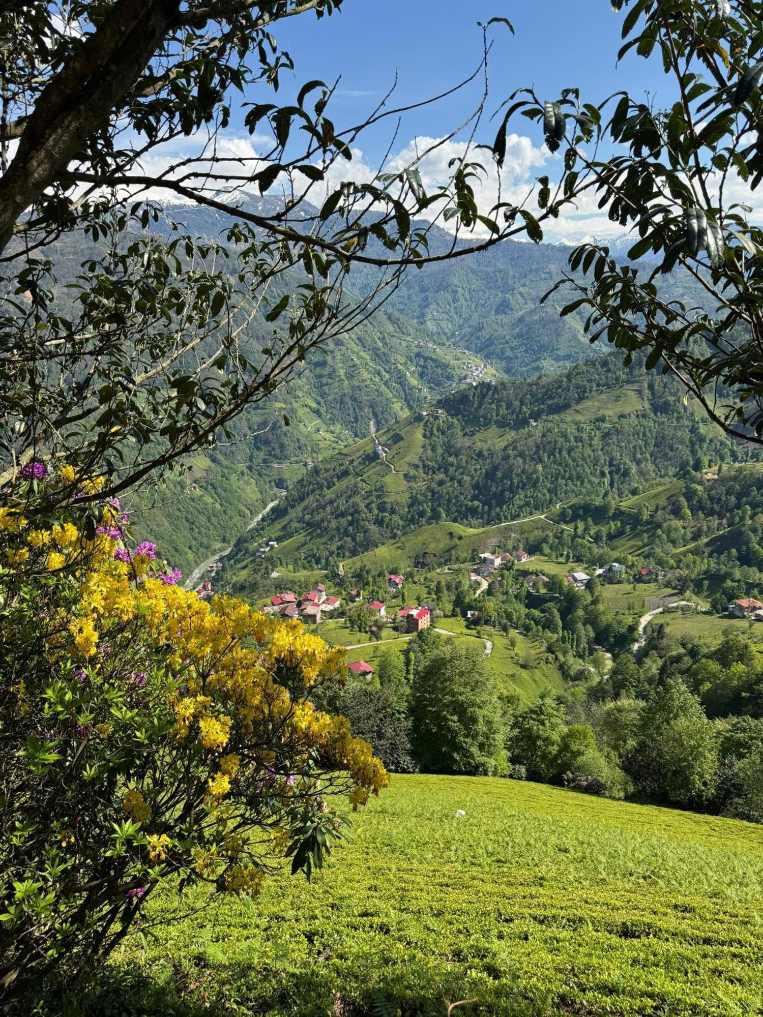 Pera Bungalov Ardeşen Esterno foto